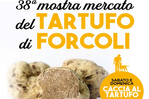 Mostra mercato tartufo Foscoli